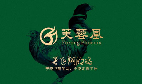 芙蓉凰雞攜手萬域廣告 打造深圳品牌設計的卓越典范